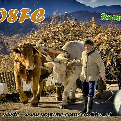 YO8FC profile image