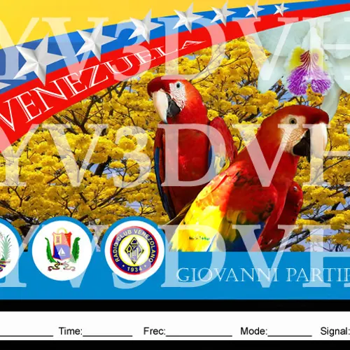 YV3DVH profile image