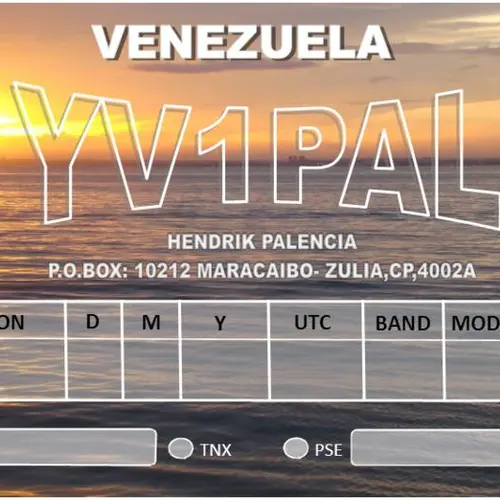 YY1PAL