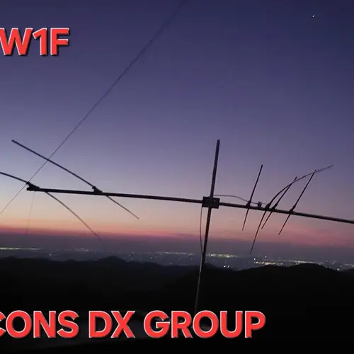 ZW1F profile image