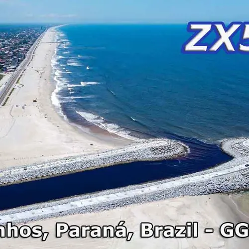 ZX5C profile image