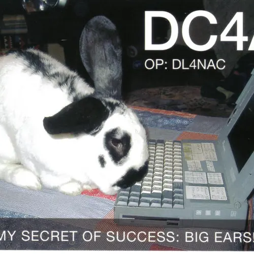 DC4A