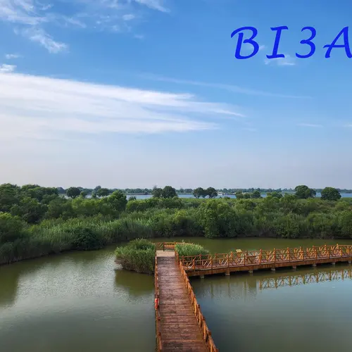 BI3ARY