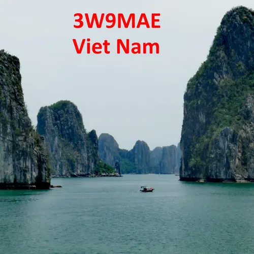 3W9MAE