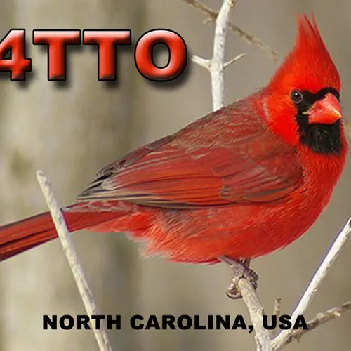 W4TTO profile image
