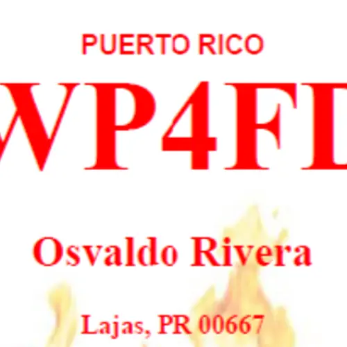 WP4FD profile image