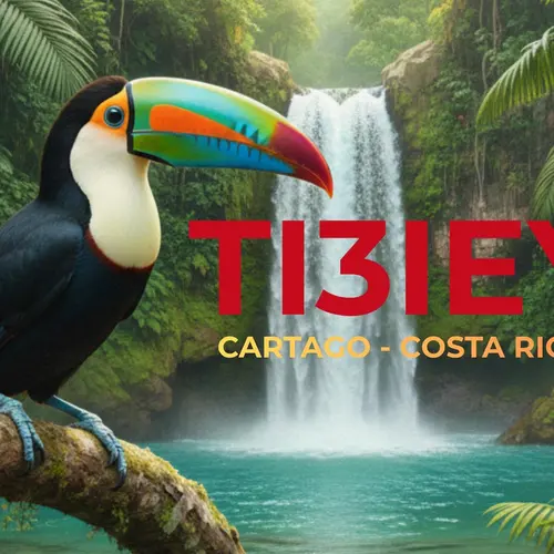 TI3IEY