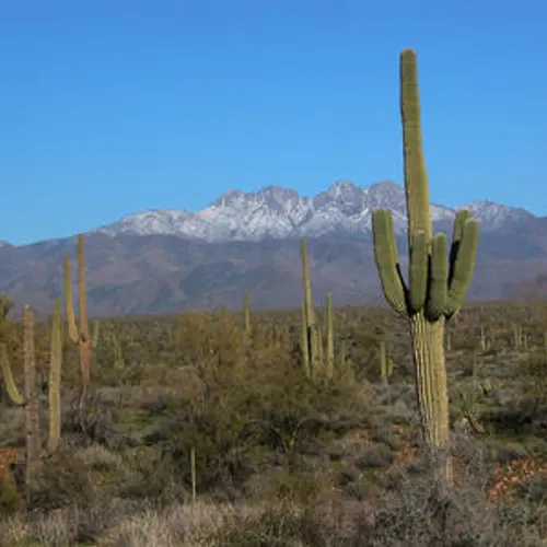 WX7PHX