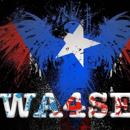WA4SE profile image