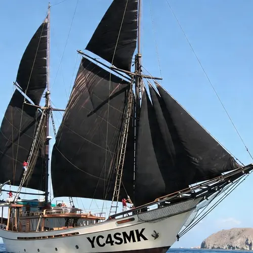 YC4SMK profile image
