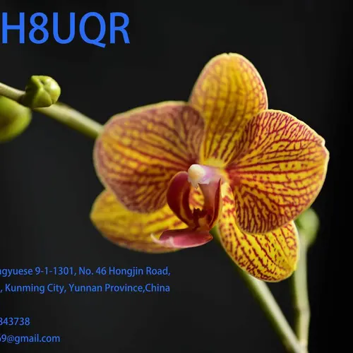 BH8UQR