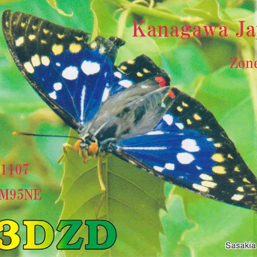 7N3DZD