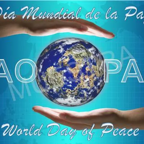 AO4PAZ