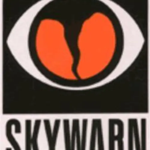 WX3PIT profile image