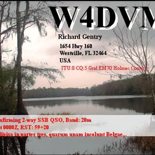 W4DVM profile image