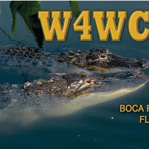 W4WCD profile image