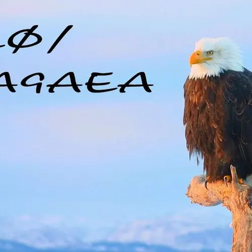 WA9AEA profile image