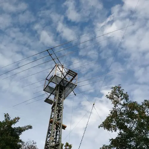 DL9A