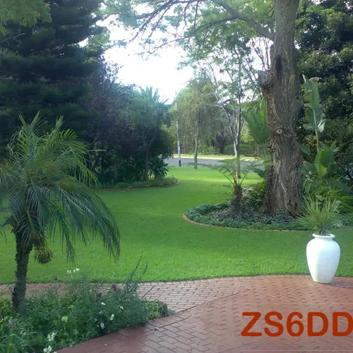 ZS6DDR