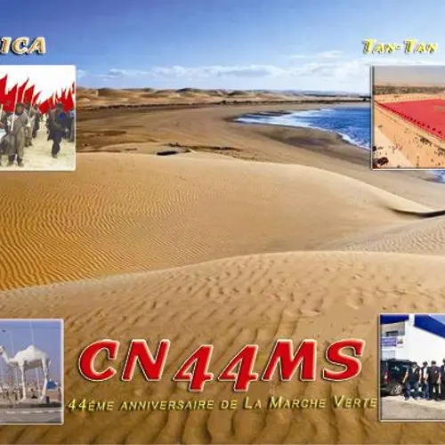CN44MS