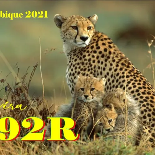 C92R
