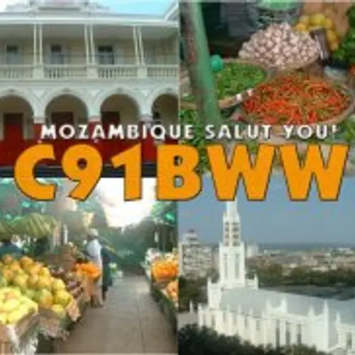 C91BWW