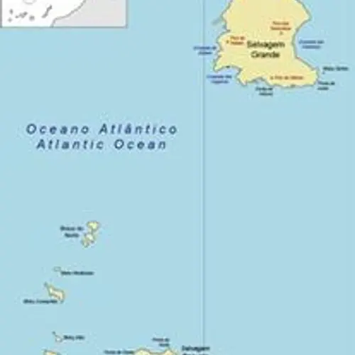 CQ9U