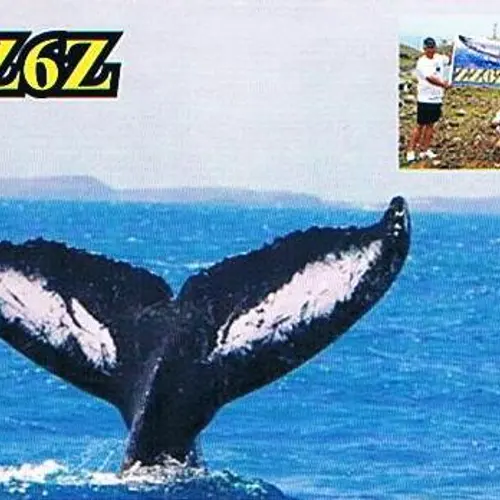 ZZ6Z profile image
