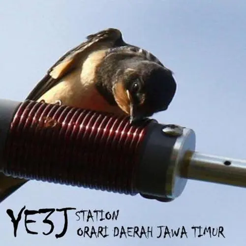 YE3J profile image