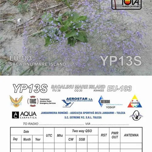 YP13S profile image