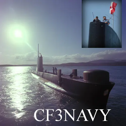 CF3NAVY