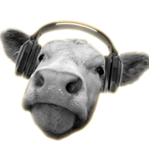 Z25DX profile image