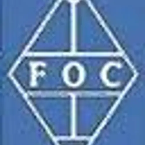 WG4FOC profile image