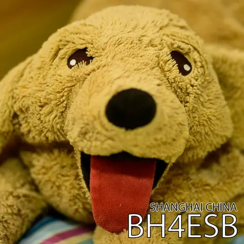 BH4ESB