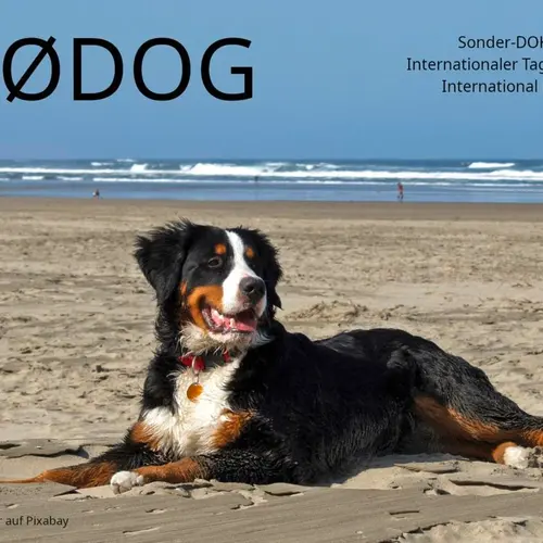 DA0DOG
