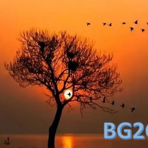 BG2GFS