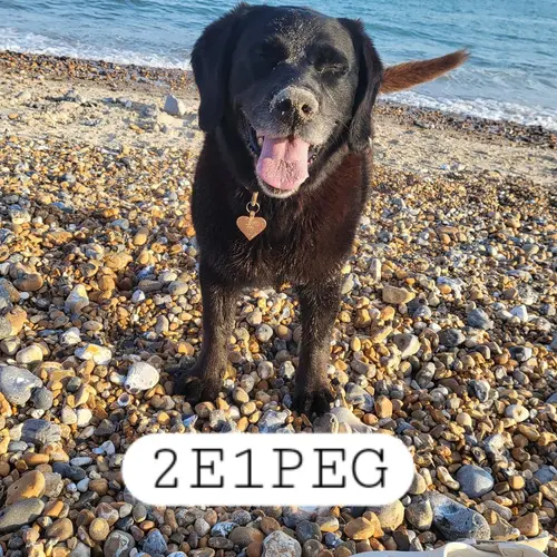2E1PEG