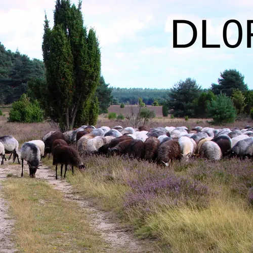 DL0FA