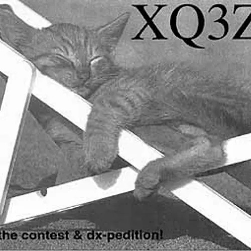 XQ3ZW