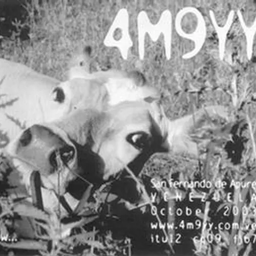 4M9YY