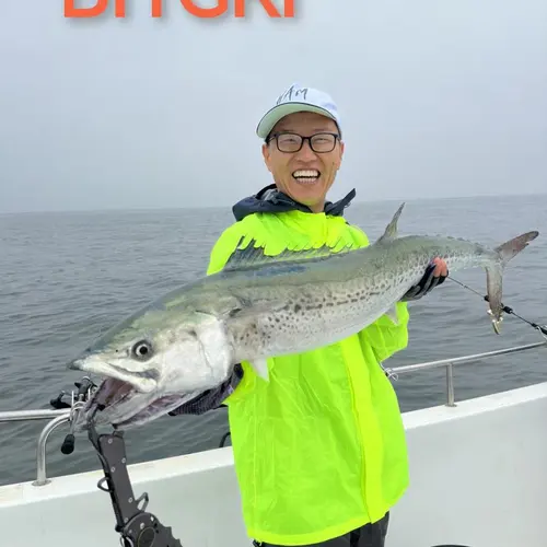 BI1GRI
