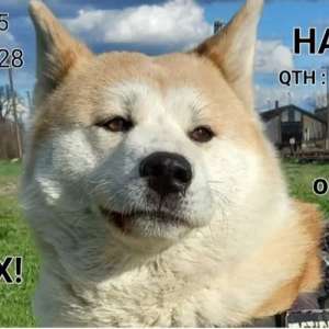 HA8GF
