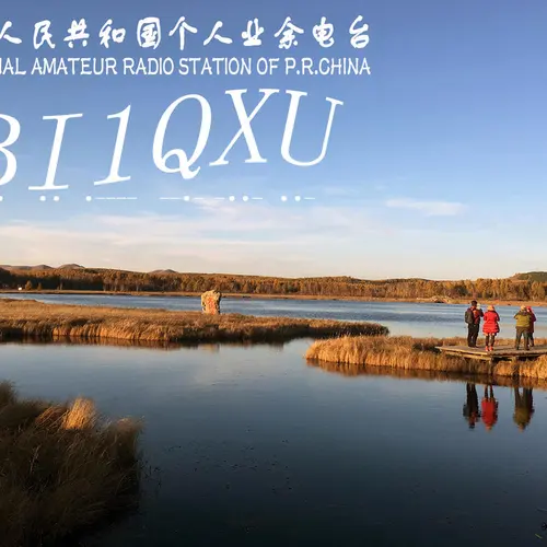 BI1QXU