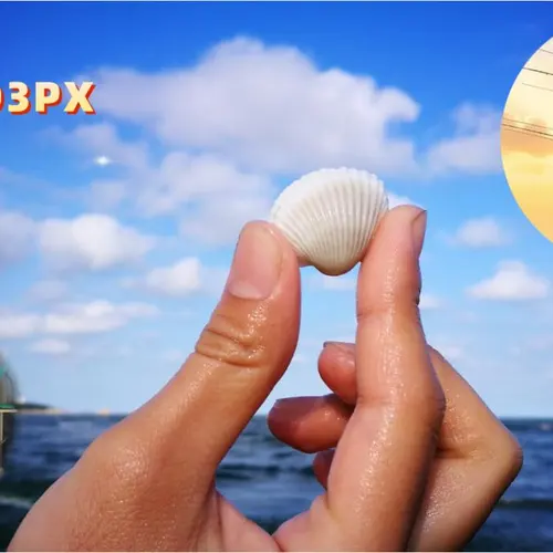 BD3PX