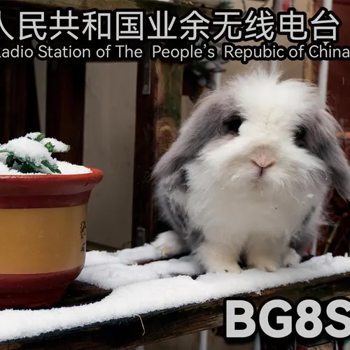 BG8SWR