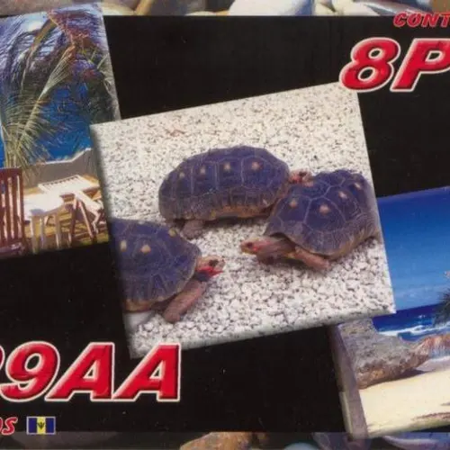 8P9AA