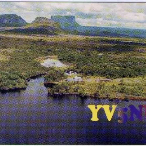 YV5NUM