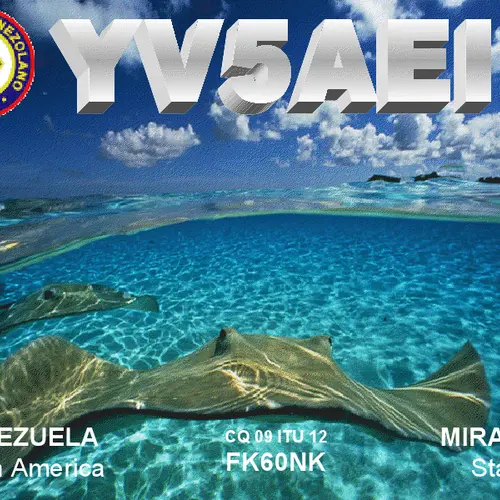 YV5AEI