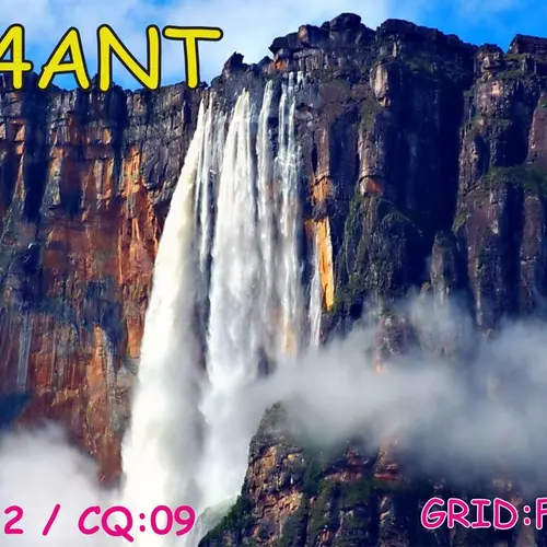 YY4ANT