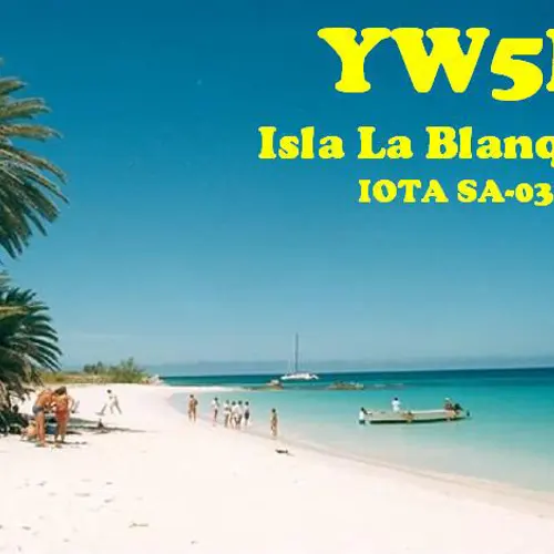 YW5B